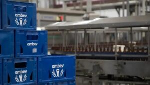 Lucro da Ambev cresce, mas preocupações permanecem em 2025